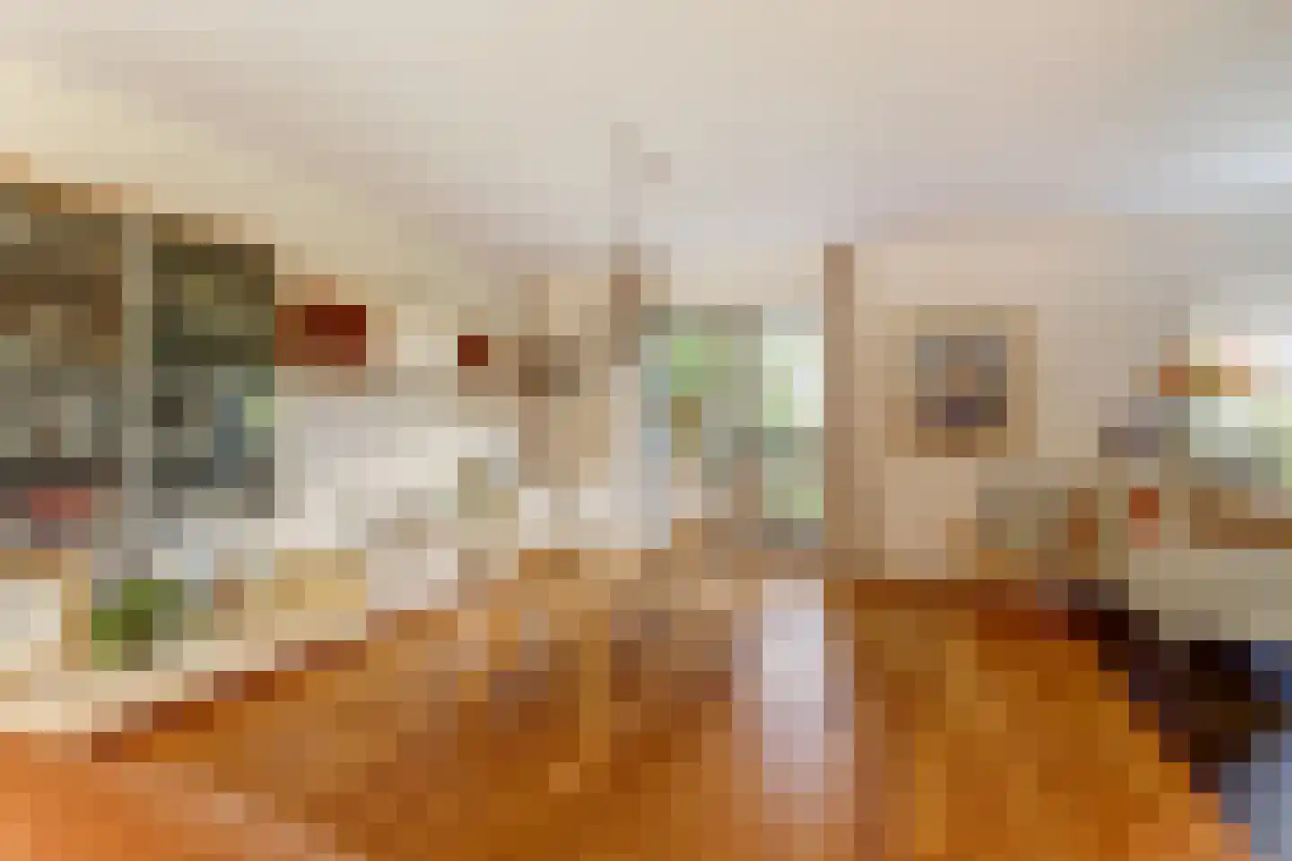 Richard Heubergerhof 19 Utrecht thumbnail 20