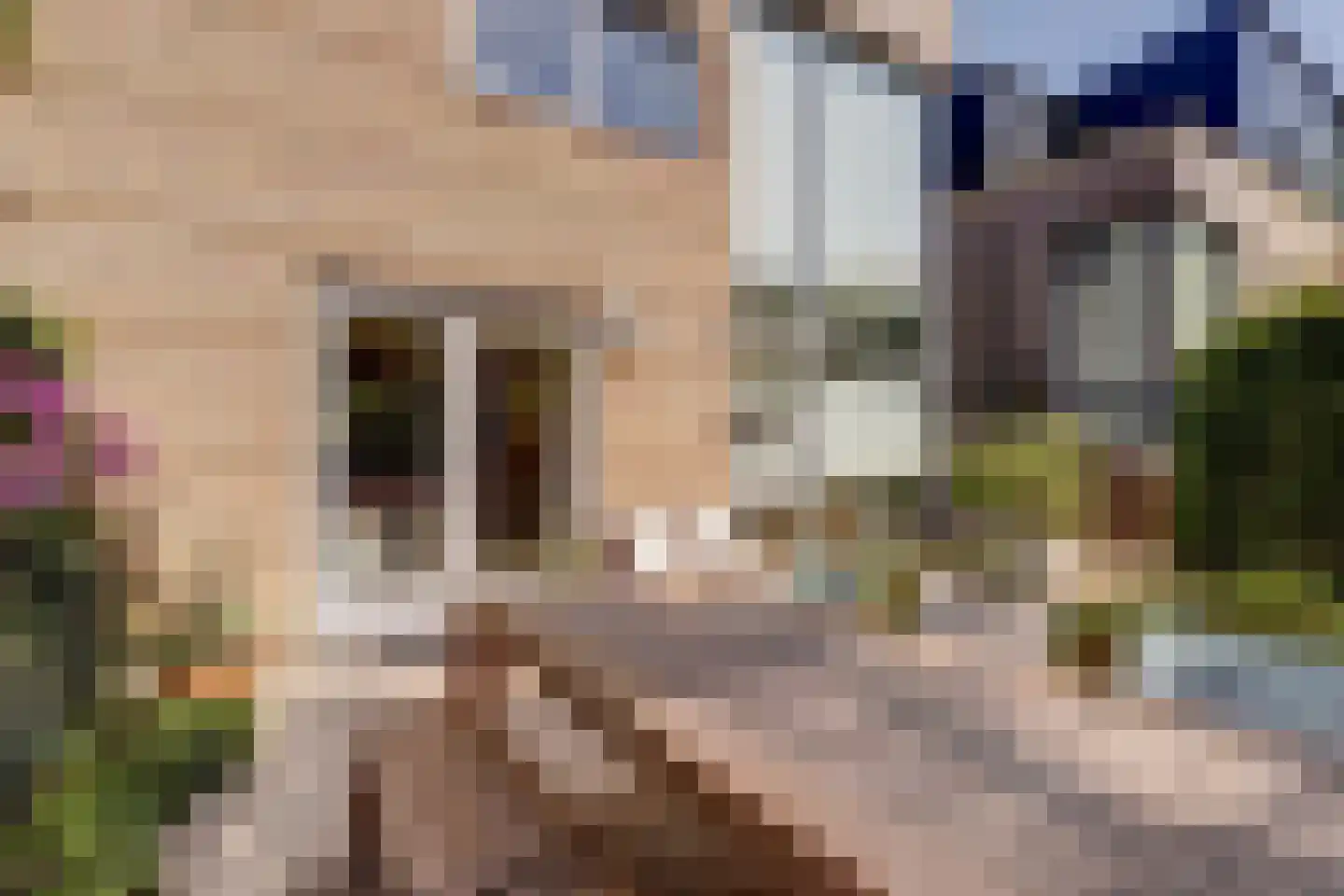 Richard Heubergerhof 19 Utrecht thumbnail 51