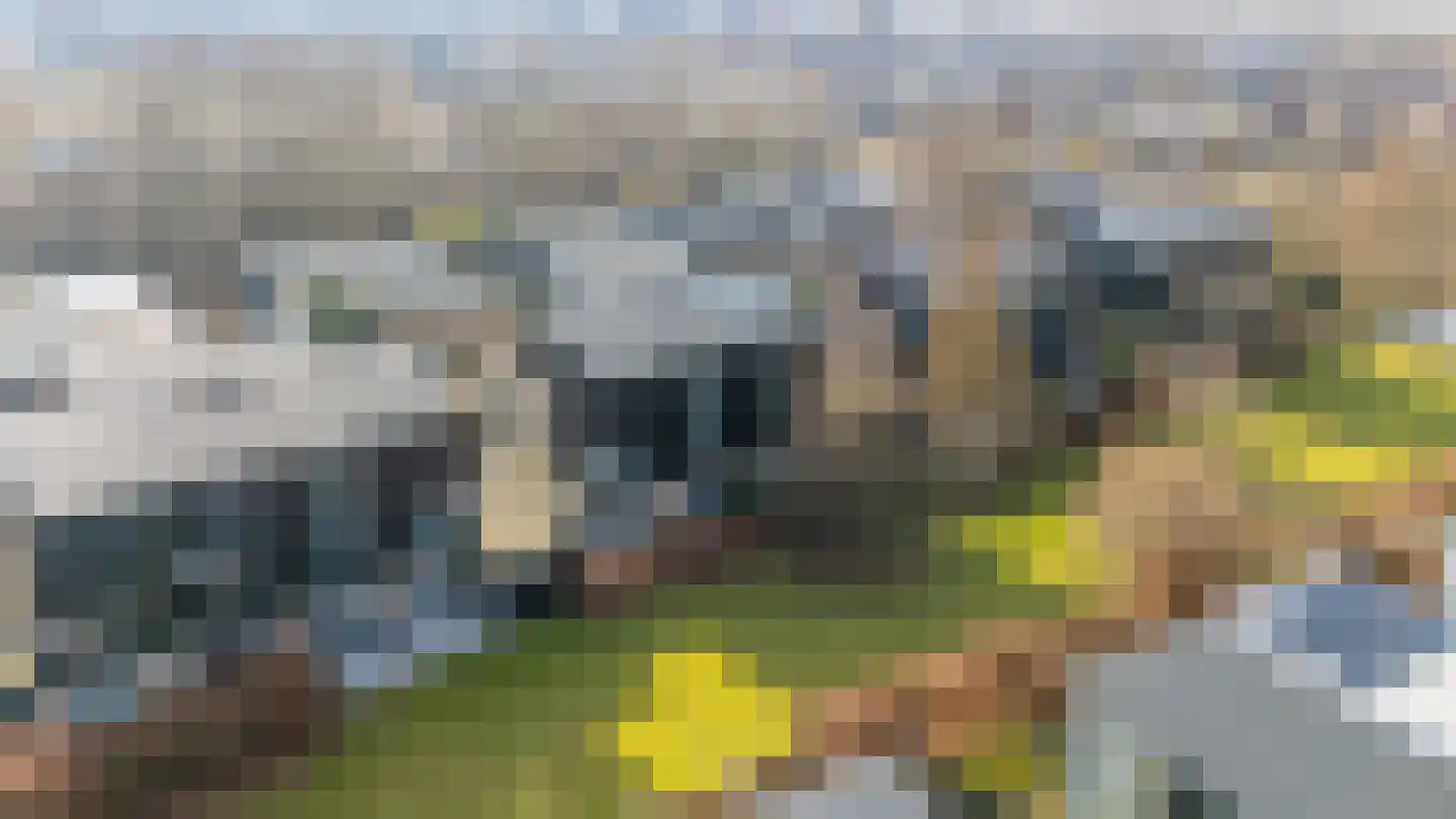 Richard Heubergerhof 19 Utrecht thumbnail 67