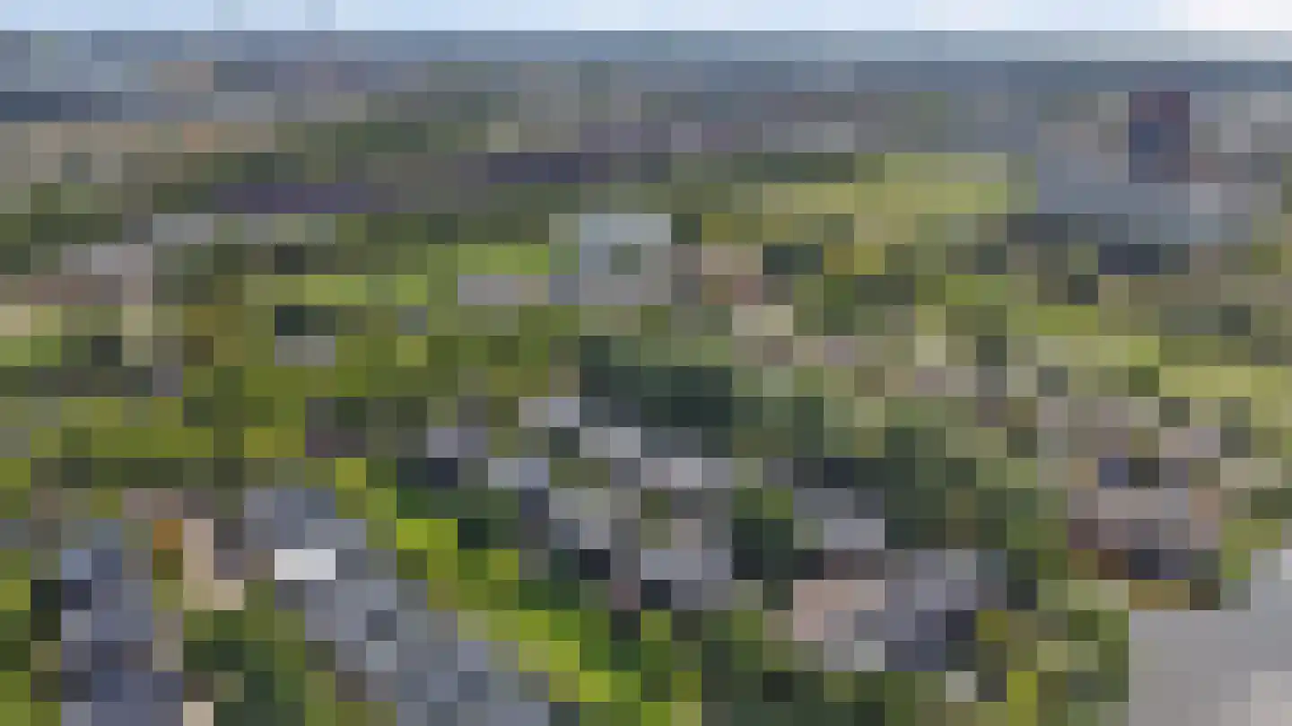 Richard Heubergerhof 19 Utrecht thumbnail 72