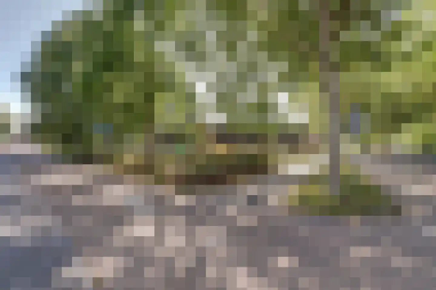 Richard Heubergerhof 19 Utrecht thumbnail 75