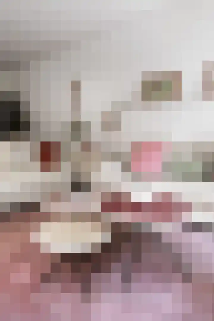 Richard Heubergerhof 7 Utrecht thumbnail 17