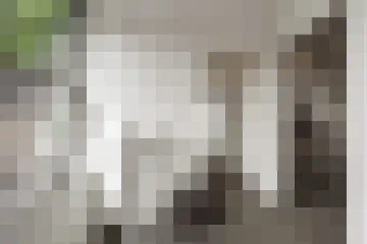 Richard Heubergerhof 7 Utrecht thumbnail 18