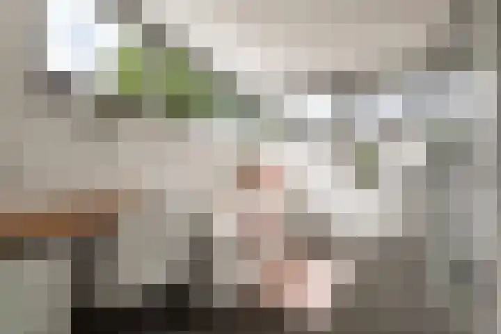 Richard Heubergerhof 7 Utrecht thumbnail 19