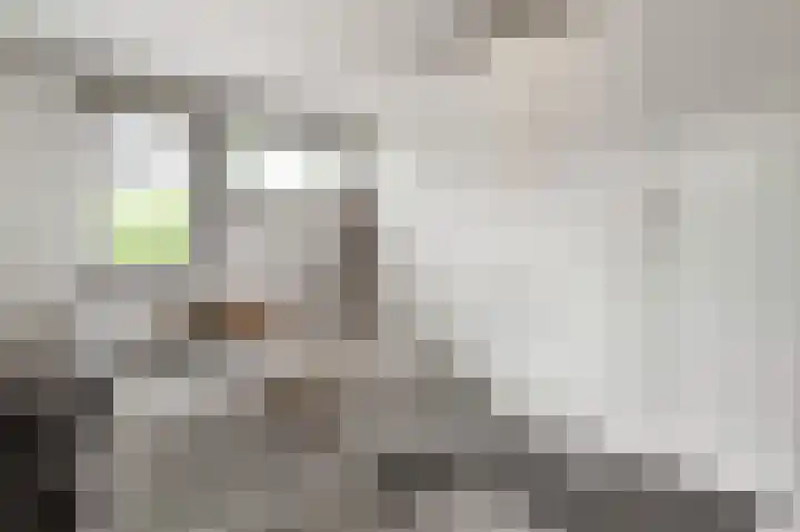 Richard Heubergerhof 7 Utrecht thumbnail 21