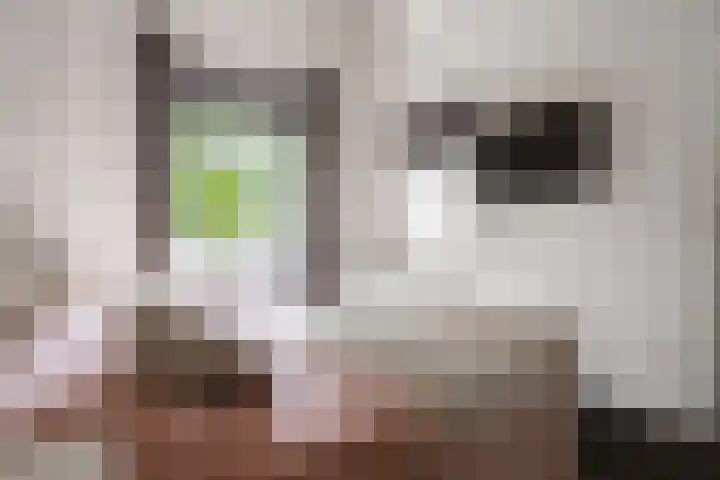 Richard Heubergerhof 7 Utrecht thumbnail 29