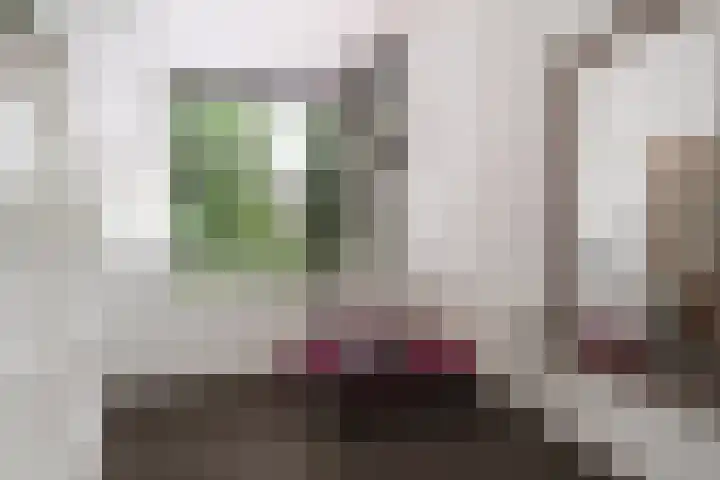 Richard Heubergerhof 7 Utrecht thumbnail 31