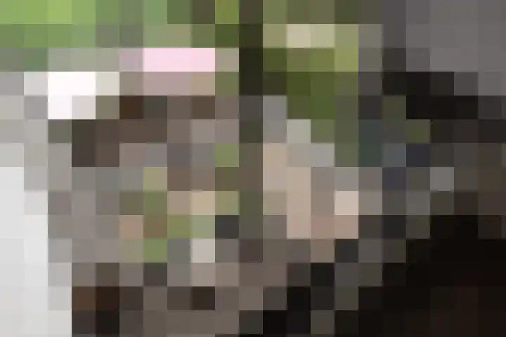 Richard Heubergerhof 7 Utrecht thumbnail 32