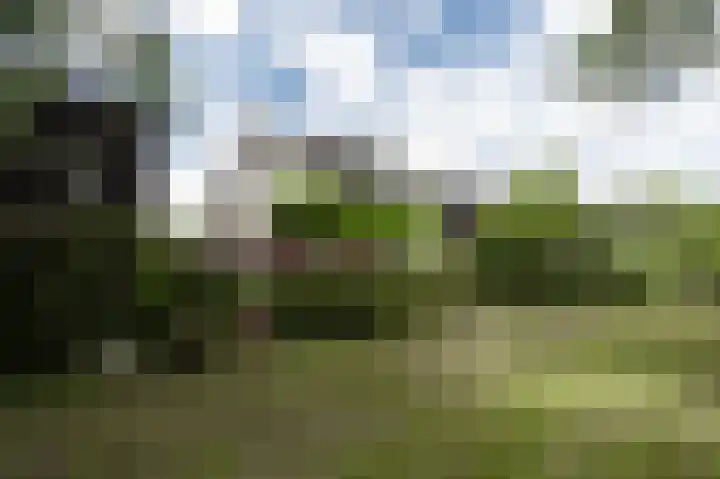 Richard Heubergerhof 7 Utrecht thumbnail 38