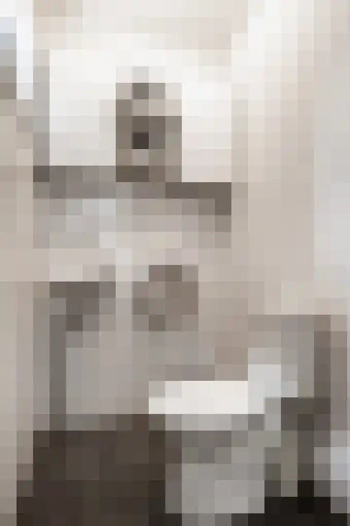 Richard Heubergerhof 7 Utrecht thumbnail 8