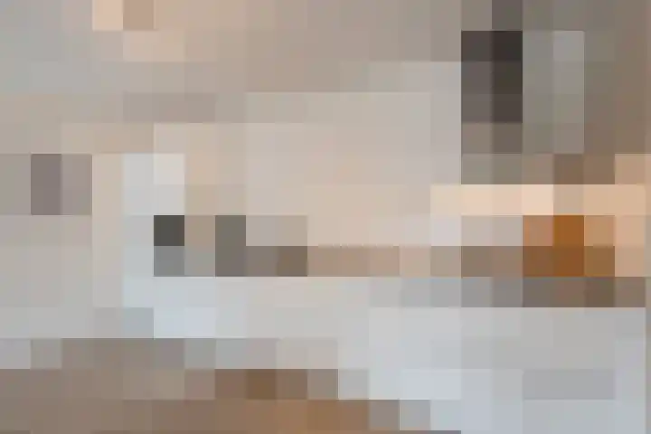 Richard Holkade 45 Haarlem thumbnail 12