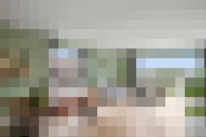 Richard Holkade 51 Haarlem thumbnail 11