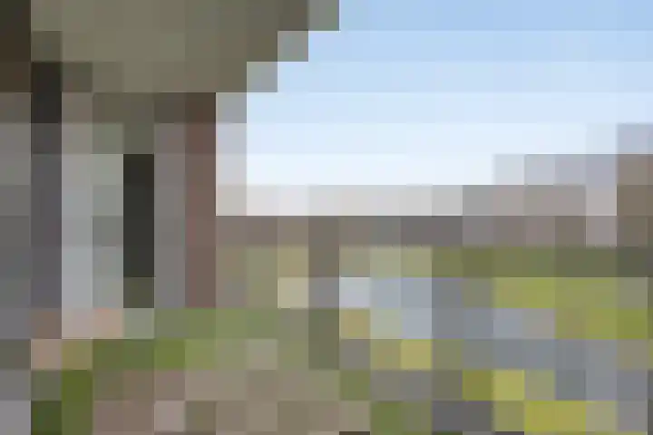 Richard Holkade 65 Haarlem thumbnail 13
