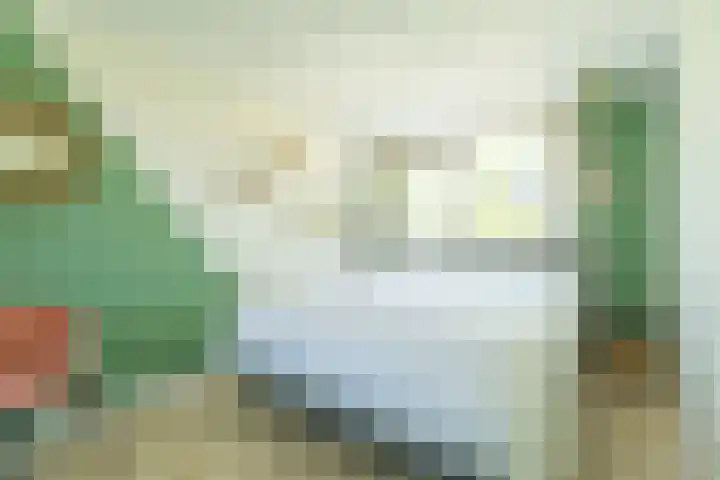 Richard Holpad 24 Oegstgeest thumbnail 12