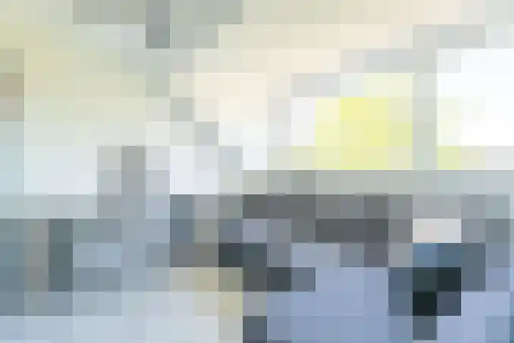 Richard Holpad 24 Oegstgeest thumbnail 23