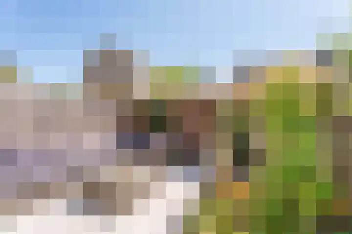 Richard Holpad 24 Oegstgeest thumbnail 29