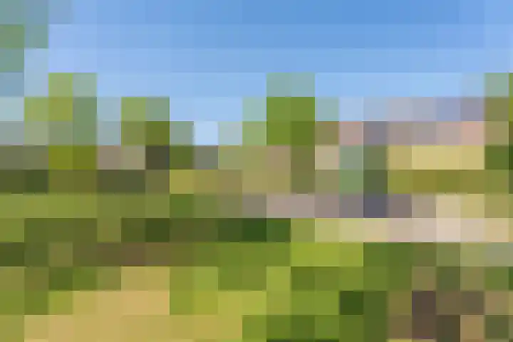 Richard Holpad 24 Oegstgeest thumbnail 35