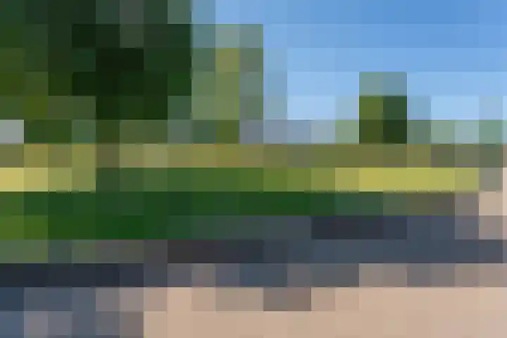 Richard Holpad 24 Oegstgeest thumbnail 38