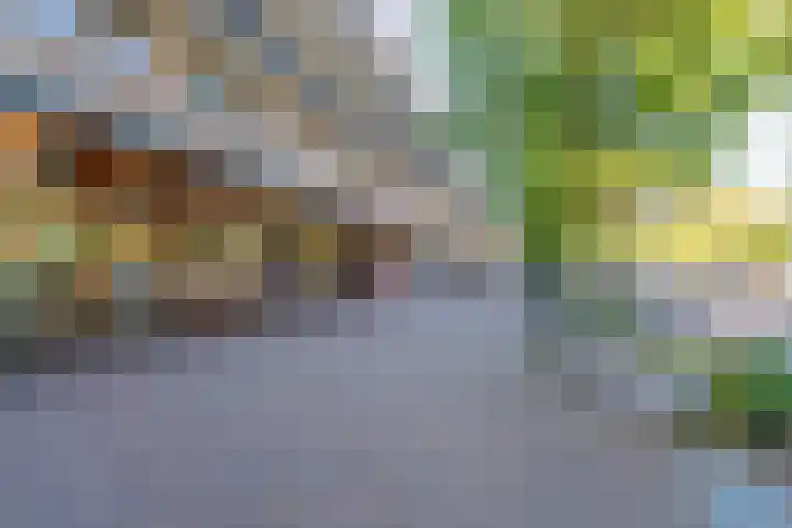 Richard Holpad 24 Oegstgeest thumbnail 39