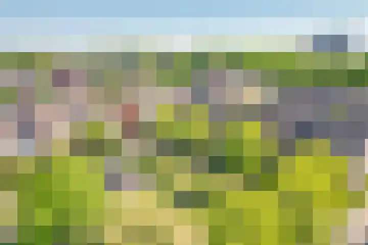 Richard Holpad 24 Oegstgeest thumbnail 41