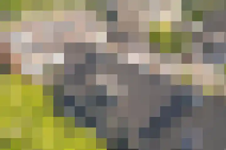 Richard Holpad 24 Oegstgeest thumbnail 42