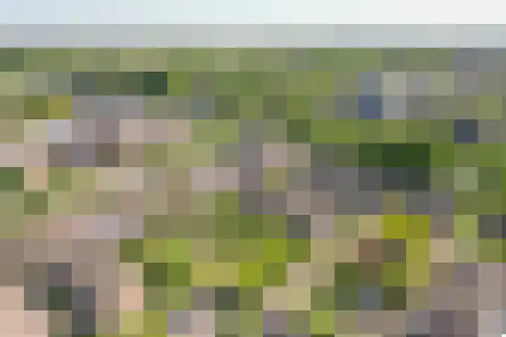 Richard Holpad 24 Oegstgeest thumbnail 43