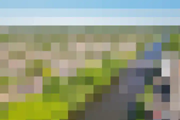 Richard Holpad 24 Oegstgeest thumbnail 45