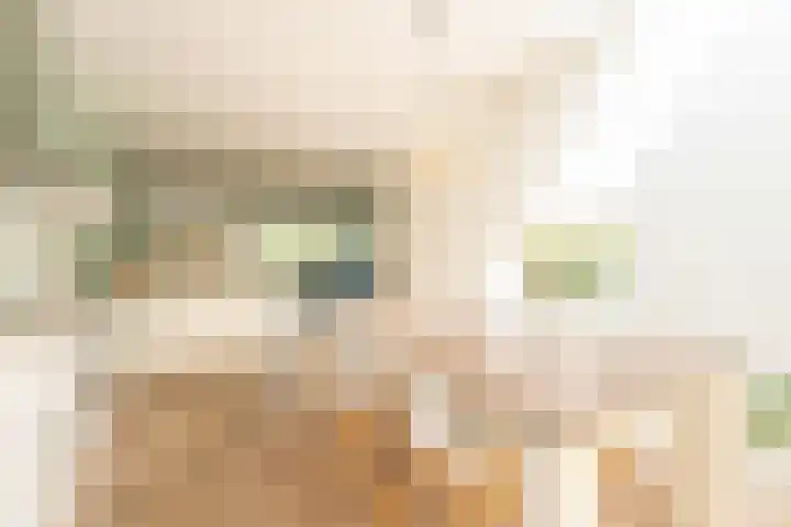 Richard Holpad 24 Oegstgeest thumbnail 8