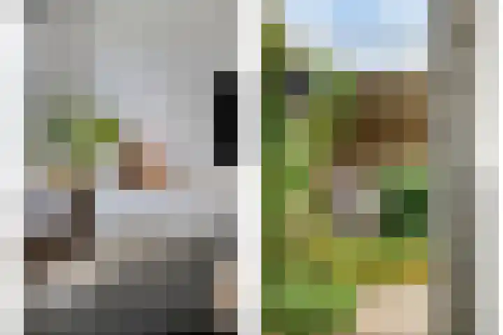 Richard Holpad 3 Oegstgeest thumbnail 18