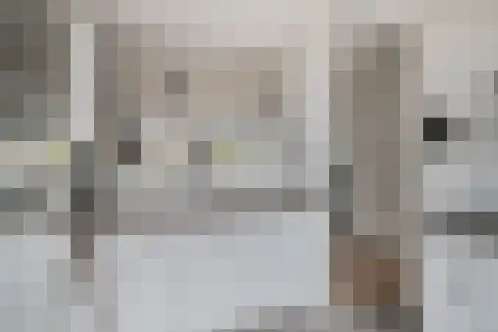 Richard Holpad 3 Oegstgeest thumbnail 22