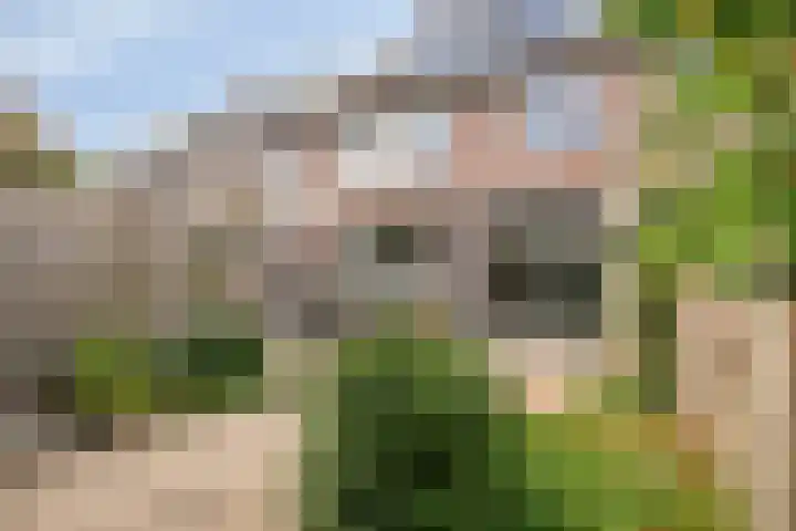 Richard Holpad 3 Oegstgeest thumbnail 41