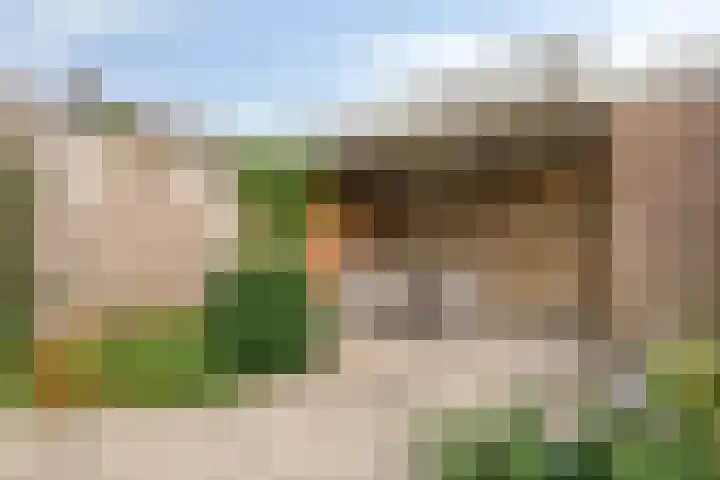 Richard Holpad 3 Oegstgeest thumbnail 44