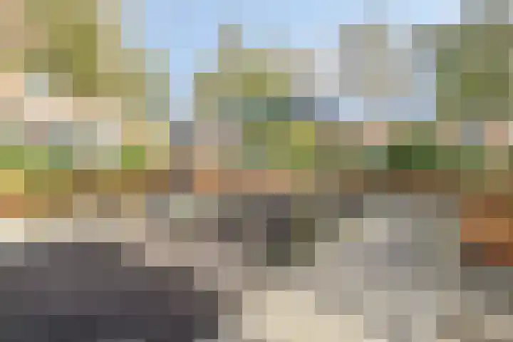 Richard Holpad 3 Oegstgeest thumbnail 47