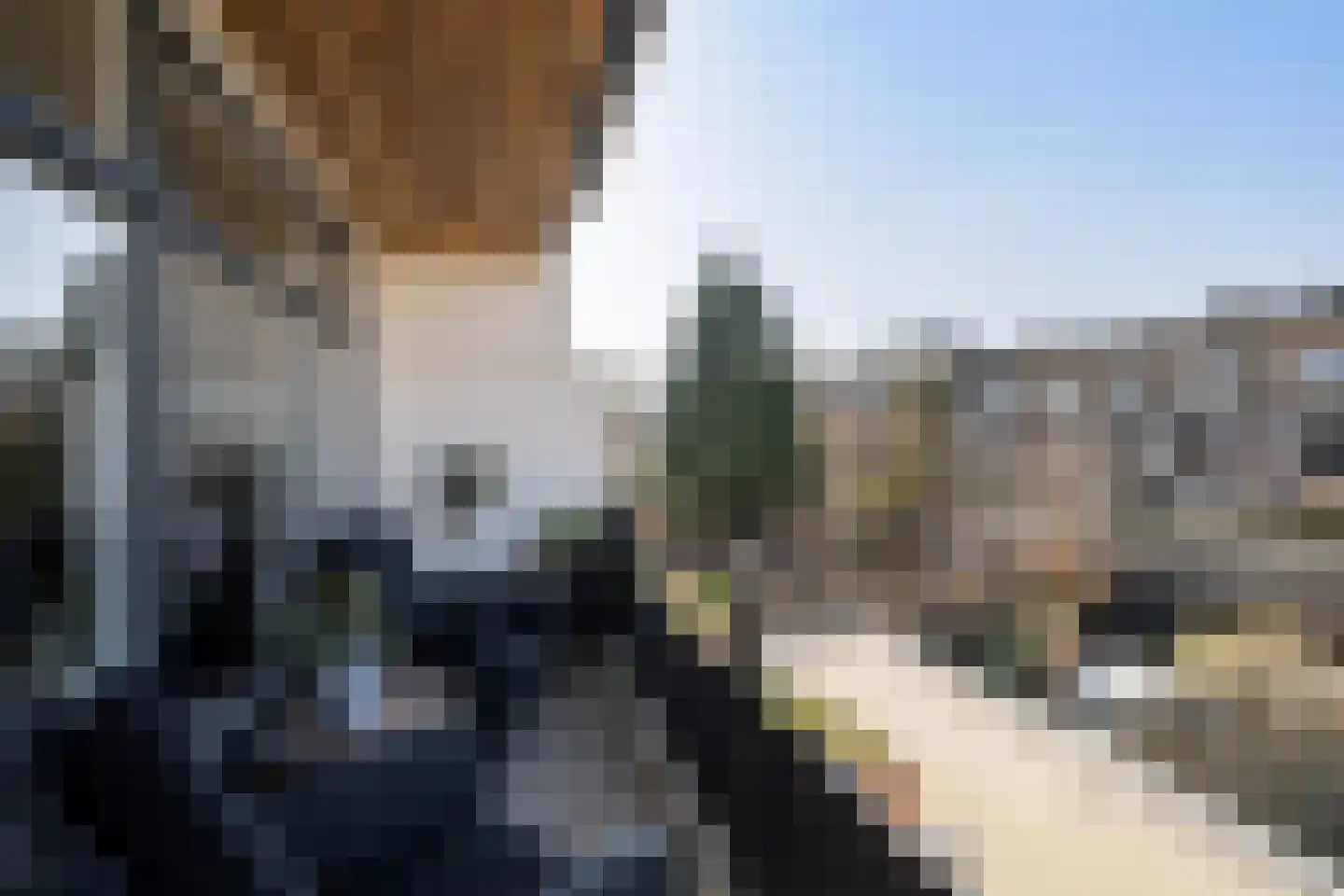 Richard Holstraat 20 Vlaardingen thumbnail 21