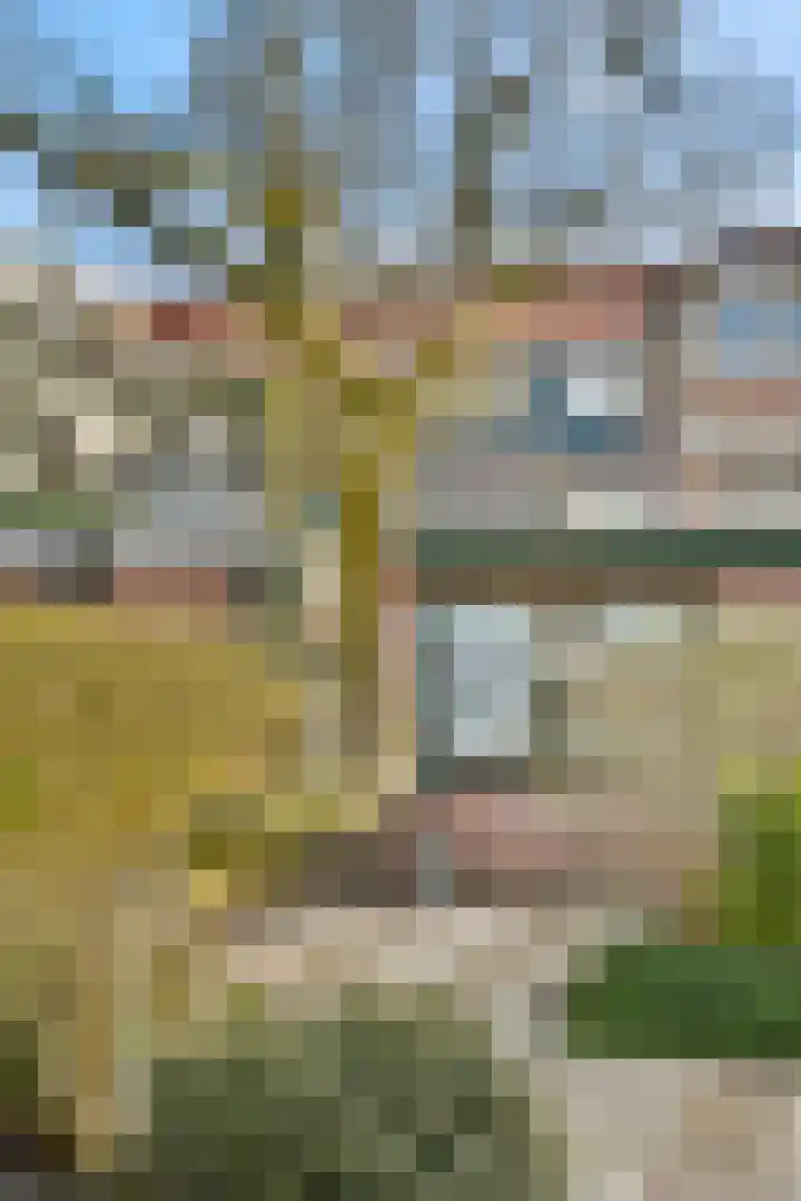 Richard Holstraat 21 Vlaardingen thumbnail 10