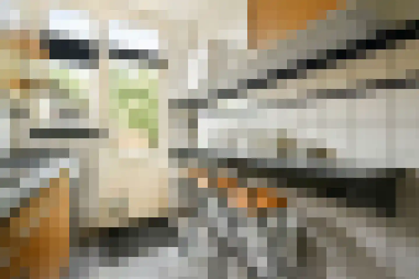 Richard Holstraat 36 Vlaardingen thumbnail 14