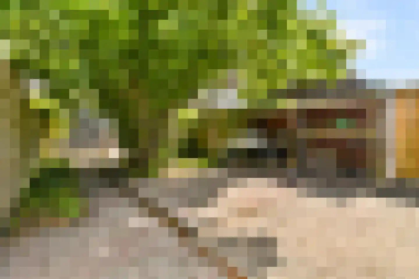 Richard Holstraat 36 Vlaardingen thumbnail 16