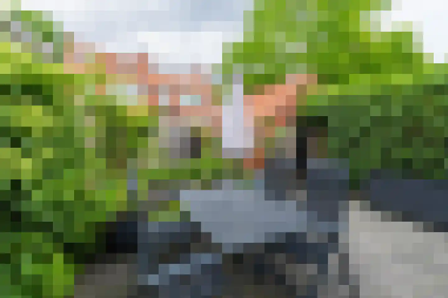 Richard Paffraedstraat 18 Deventer thumbnail 15