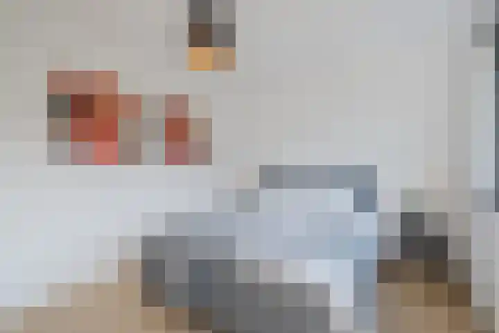 Richard Rodgersstraat 5 Utrecht thumbnail 35