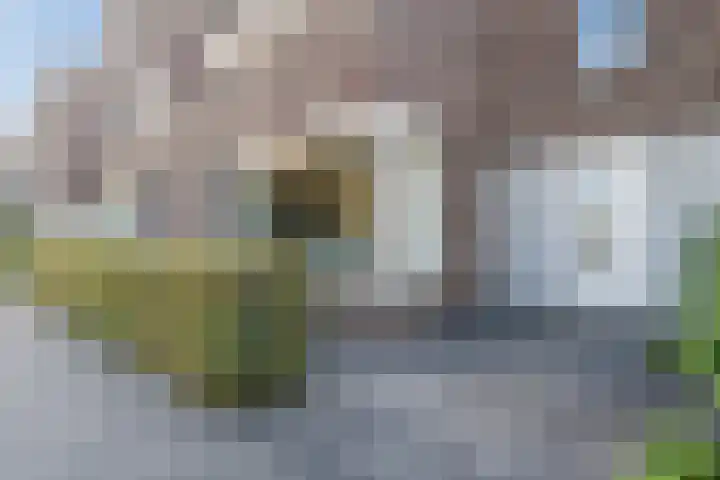 Richard Rodgersstraat 5 Utrecht thumbnail 4