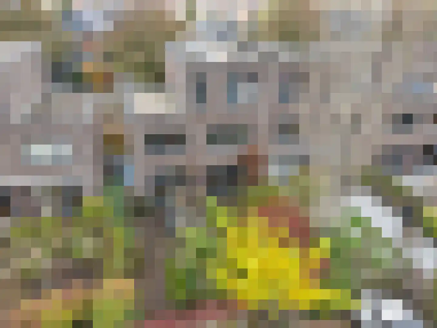 Richard Rodgersstraat 8 Utrecht thumbnail 55