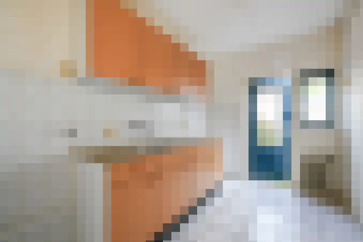 Richard Sturenberghlaan 5 Voorburg thumbnail 5