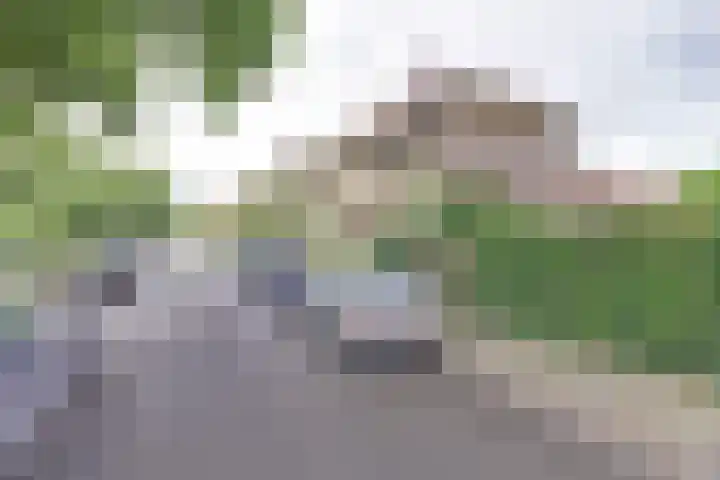 Richard Wagnerlaan 1 Utrecht thumbnail 20
