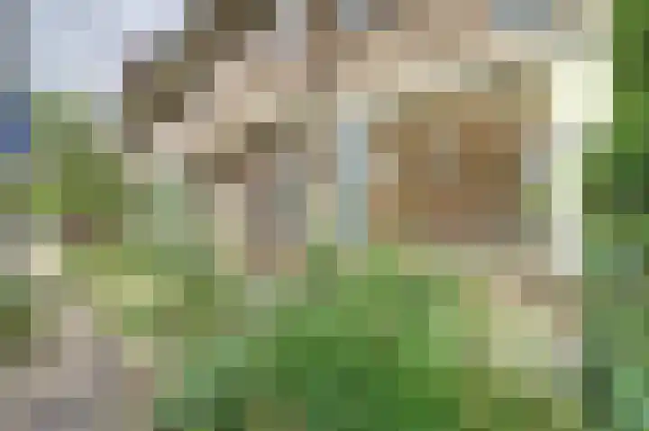 Richard Wagnerlaan 1 Utrecht thumbnail 22