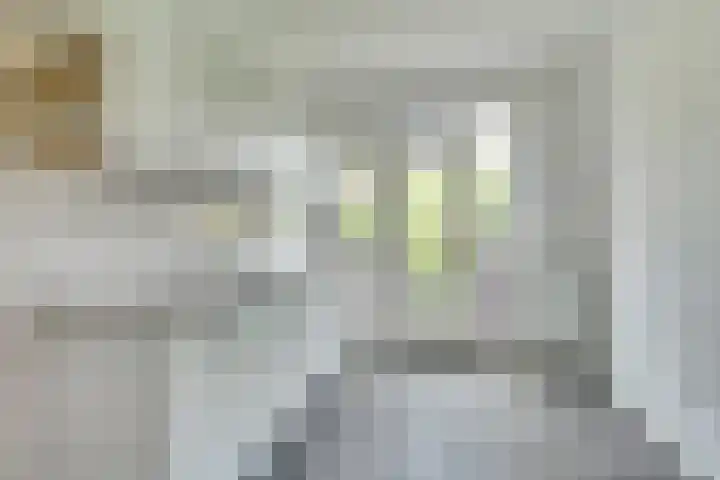 Richard Wagnerlaan 1 Utrecht thumbnail 7