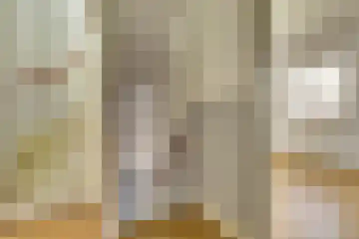 Richard Wagnerlaan 1 Utrecht thumbnail 9