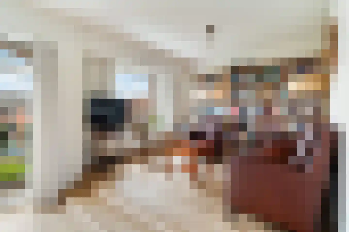 Richard Wagnerlaan 22 Den Haag thumbnail 12