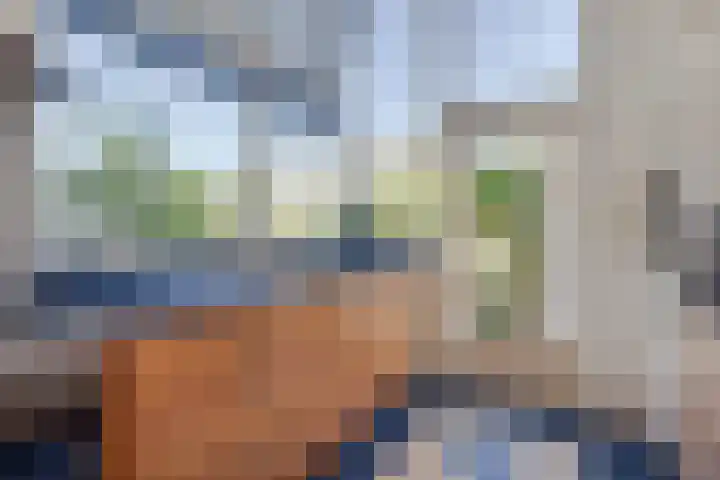 Richard Wagnerlaan 31 Voorschoten thumbnail 17