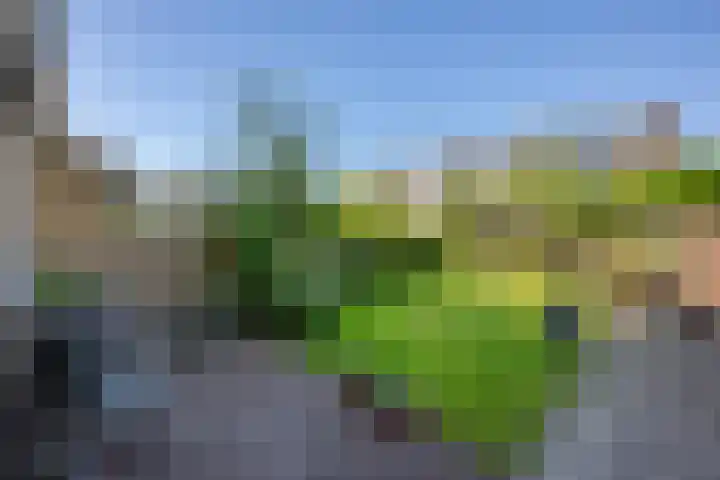 Richard Wagnerlaan 31 Voorschoten thumbnail 20