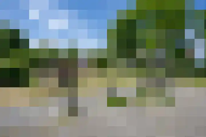 Richard Wagnerlaan 31 Voorschoten thumbnail 40